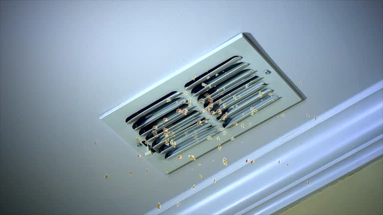 Best Affordable HVAC Duct Cleaning  in Dakota City, NE