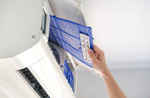 Best Professional Duct Cleaning Services  in Dakota City, NE