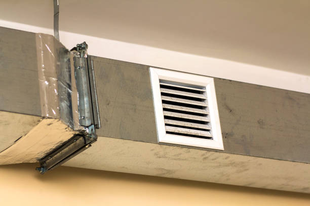 Best Air Vent Cleaning Services  in Dakota City, NE